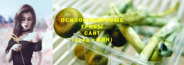 мяу мяу кристалл Переславль-Залесский