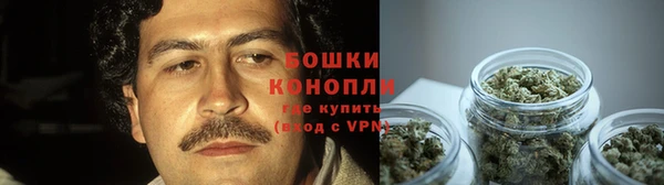 дурь Кедровый